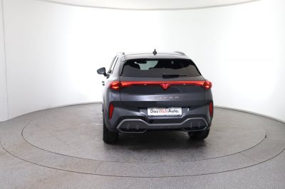 Cupra Terramar Gebrauchtwagen