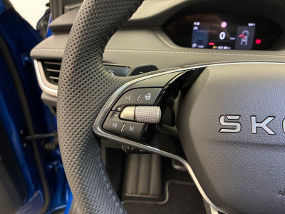 Skoda Enyaq Gebrauchtwagen