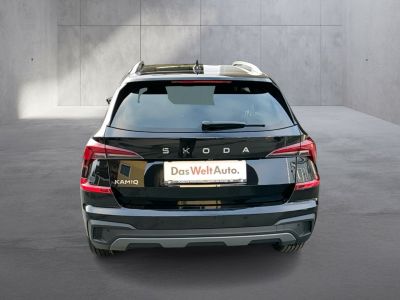 Skoda Kamiq Gebrauchtwagen Skoda Kamiq Gebrauchtwagen