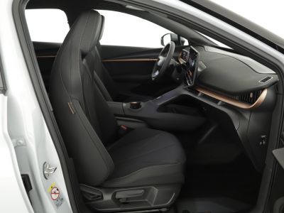 Cupra Tavascan Gebrauchtwagen Cupra Tavascan Gebrauchtwagen