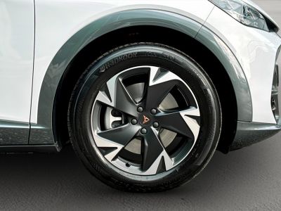 Cupra Tavascan Gebrauchtwagen Cupra Tavascan Gebrauchtwagen