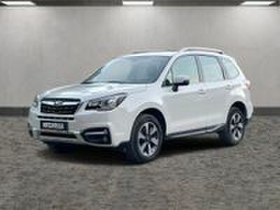 Subaru Forester Gebrauchtwagen