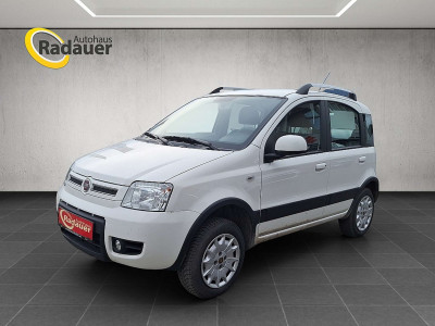 Fiat Panda Gebrauchtwagen