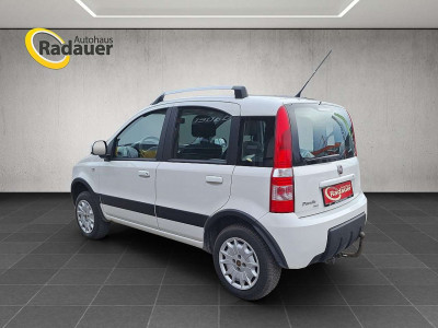 Fiat Panda Gebrauchtwagen