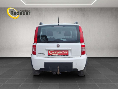 Fiat Panda Gebrauchtwagen