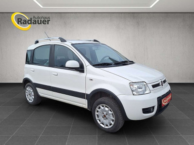 Fiat Panda Gebrauchtwagen