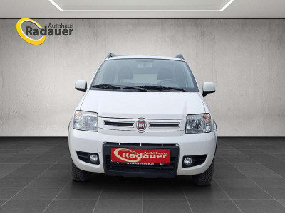 Fiat Panda Gebrauchtwagen