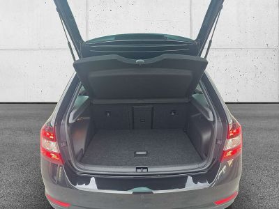 Skoda Rapid Gebrauchtwagen