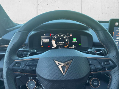 Cupra Terramar Gebrauchtwagen