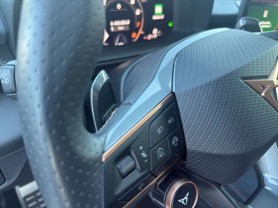 Cupra Terramar Gebrauchtwagen