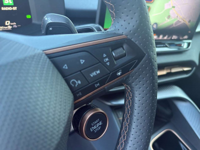 Cupra Terramar Gebrauchtwagen