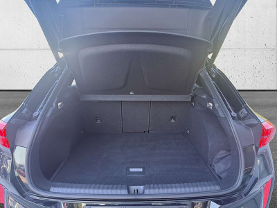 Cupra Terramar Gebrauchtwagen