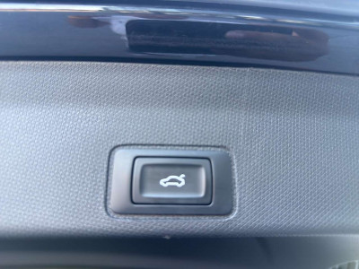 Cupra Terramar Gebrauchtwagen