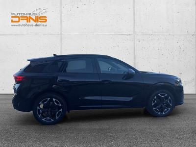 Cupra Terramar Gebrauchtwagen