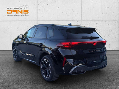 Cupra Terramar Gebrauchtwagen