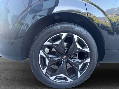 Cupra Terramar Gebrauchtwagen
