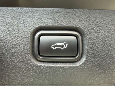 KIA Sportage Vorführwagen