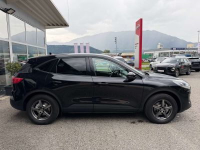 Ford Kuga Gebrauchtwagen Ford Kuga Gebrauchtwagen
