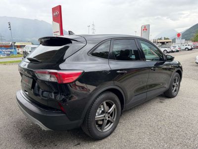 Ford Kuga Gebrauchtwagen Ford Kuga Gebrauchtwagen