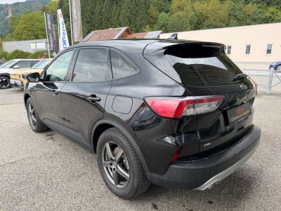 Ford Kuga Gebrauchtwagen Ford Kuga Gebrauchtwagen