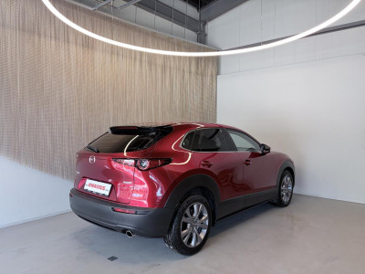 Mazda CX-30 Gebrauchtwagen Mazda CX-30 Gebrauchtwagen