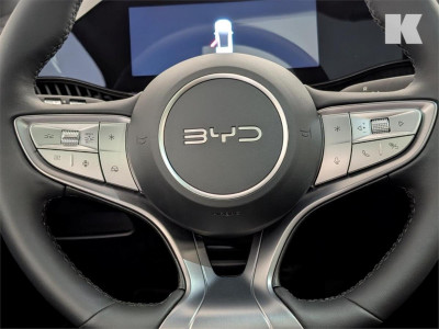 BYD Dolphin G Gebrauchtwagen BYD Dolphin G Gebrauchtwagen