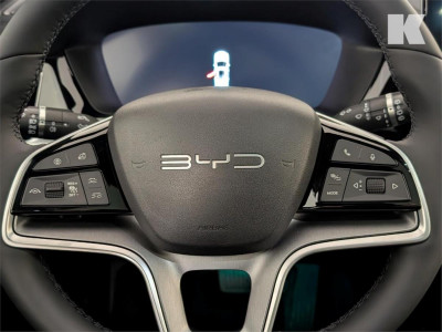BYD Seal U Gebrauchtwagen