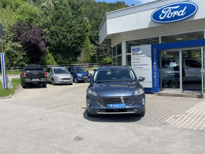 Ford Kuga Gebrauchtwagen