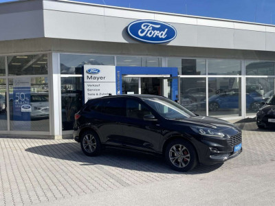 Ford Kuga Vorführwagen