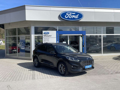 Ford Kuga Vorführwagen