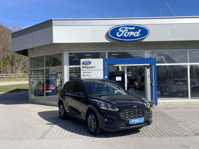 Ford Kuga Vorführwagen