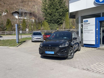 Ford Kuga Vorführwagen