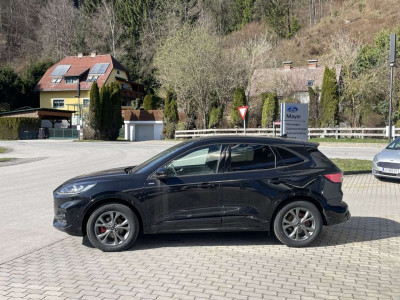 Ford Kuga Vorführwagen