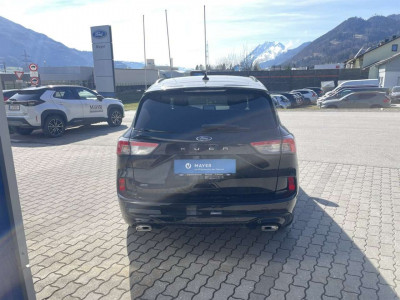 Ford Kuga Vorführwagen