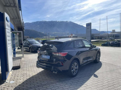 Ford Kuga Vorführwagen