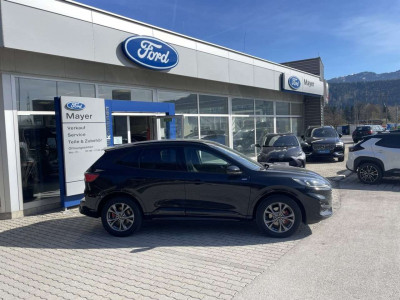 Ford Kuga Vorführwagen