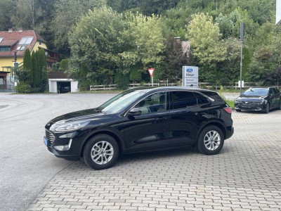 Ford Kuga Vorführwagen