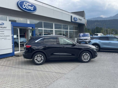 Ford Kuga Vorführwagen