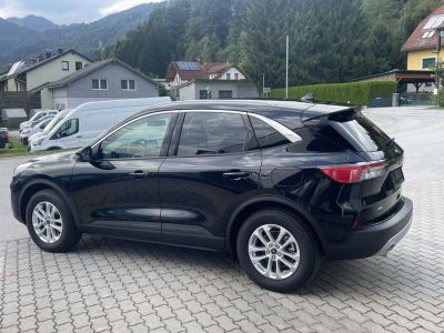 Ford Kuga Vorführwagen