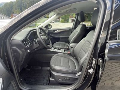 Ford Kuga Vorführwagen