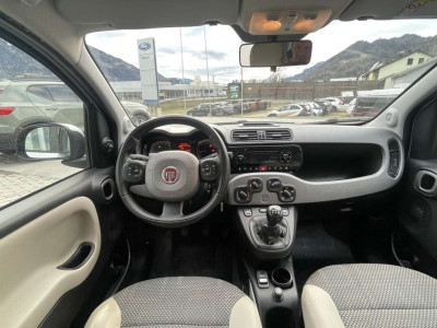 Fiat Panda Gebrauchtwagen