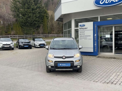 Fiat Panda Gebrauchtwagen