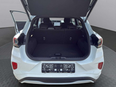 Ford Puma Neuwagen Ford Puma Neuwagen