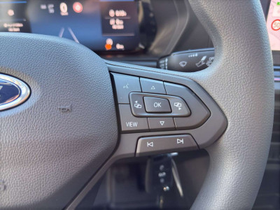 Ford Transit Neuwagen