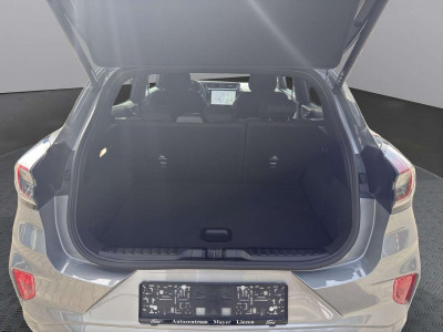 Ford Puma Neuwagen