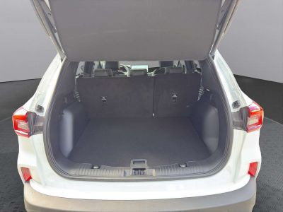 Ford Kuga Neuwagen Ford Kuga Neuwagen