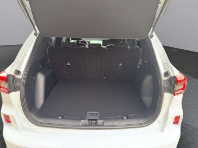 Ford Kuga Vorführwagen Ford Kuga Vorführwagen