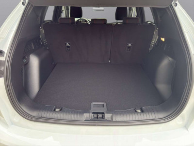 Ford Kuga Vorführwagen Ford Kuga Vorführwagen