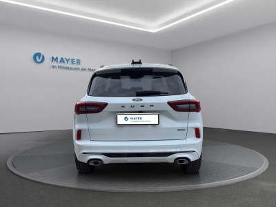 Ford Kuga Vorführwagen Ford Kuga Vorführwagen