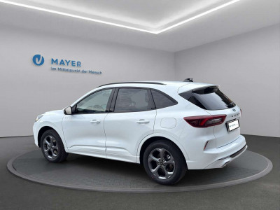 Ford Kuga Vorführwagen Ford Kuga Vorführwagen